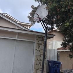 Free Basketball Hoop