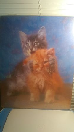 Kitty poster