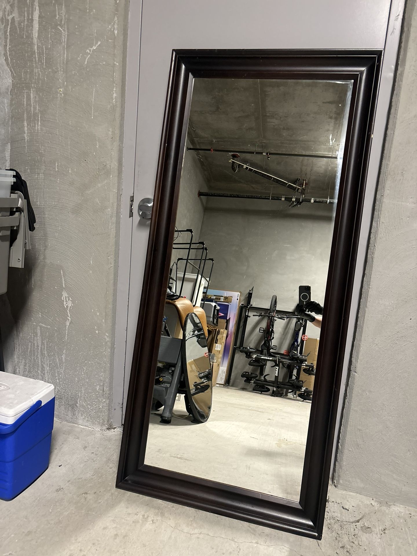 Wooden Frame Long Mirror