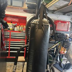 Boxing Bag