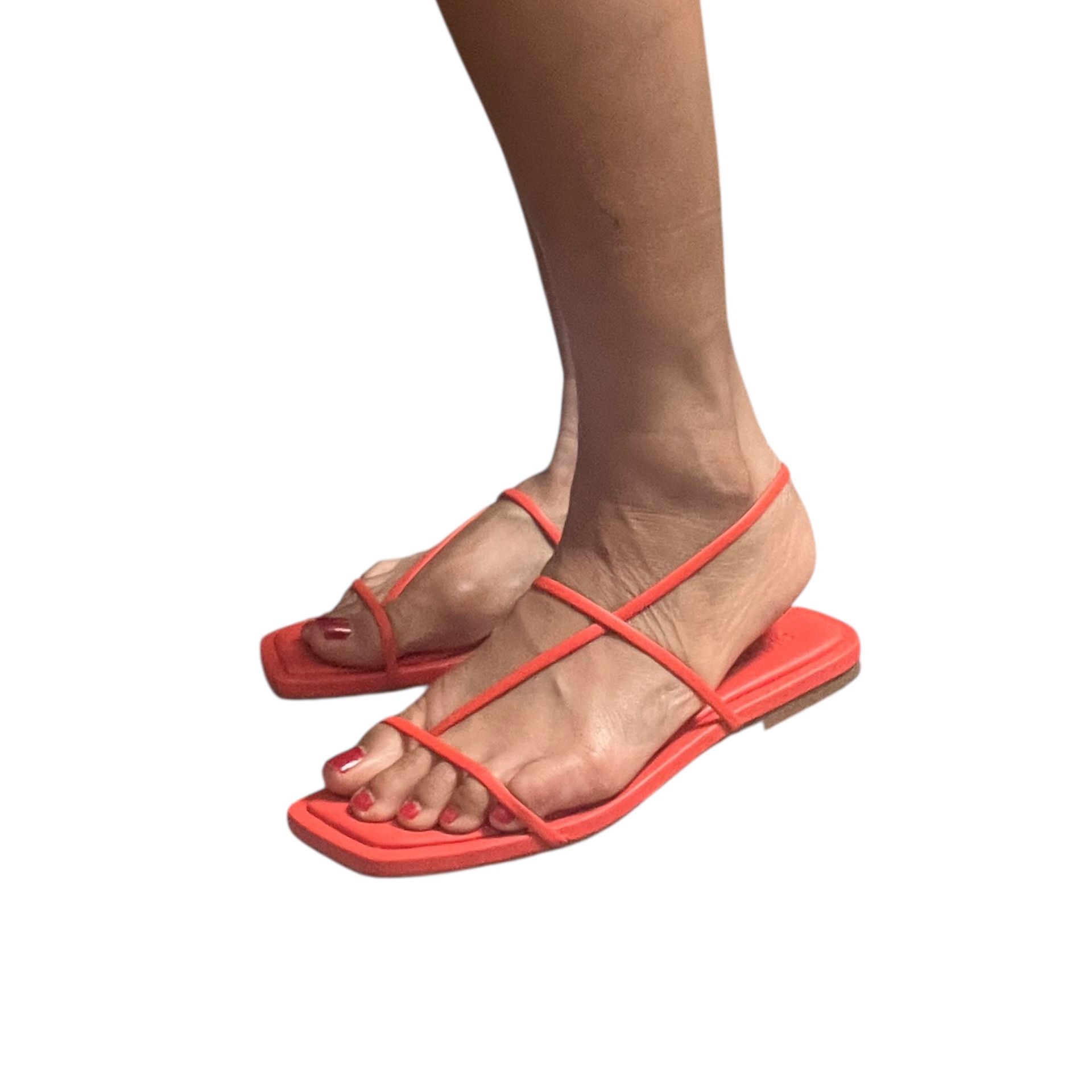 New Steve Madden Women’s Sandals, Size 7