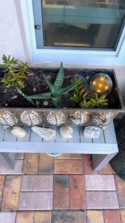 Garden Decor Plants and more