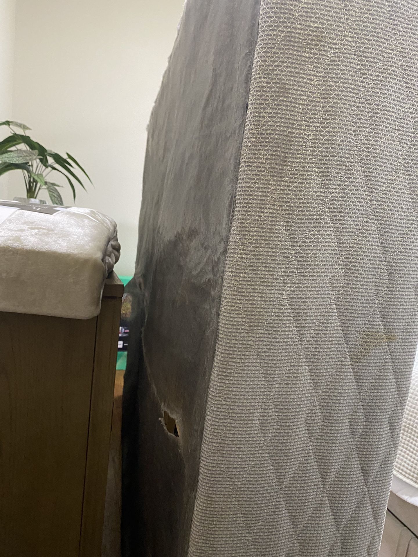 Queen Box Spring -used