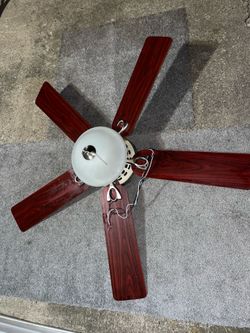 Hunter Pro's Best 52" 5 Blade Indoor LED Ceiling Fan