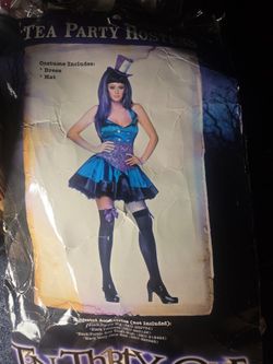 Tea party Hostess adult costume