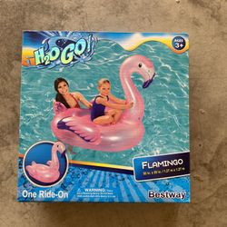 Flamingo pool float