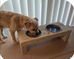 Raised Wood Pet Feeder with 2 bowls