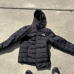 North Face Aconcagua 3 Line Hooded Jacket 