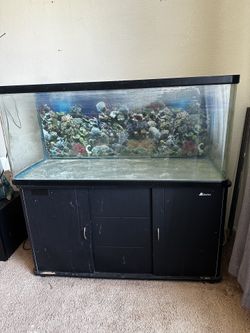 60 gallon panoramic aquarium no leaks w/ lid & stand