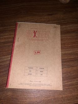 stray kids maxident album