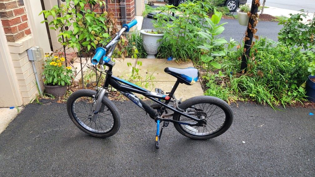 Schwinn Kids Bike
