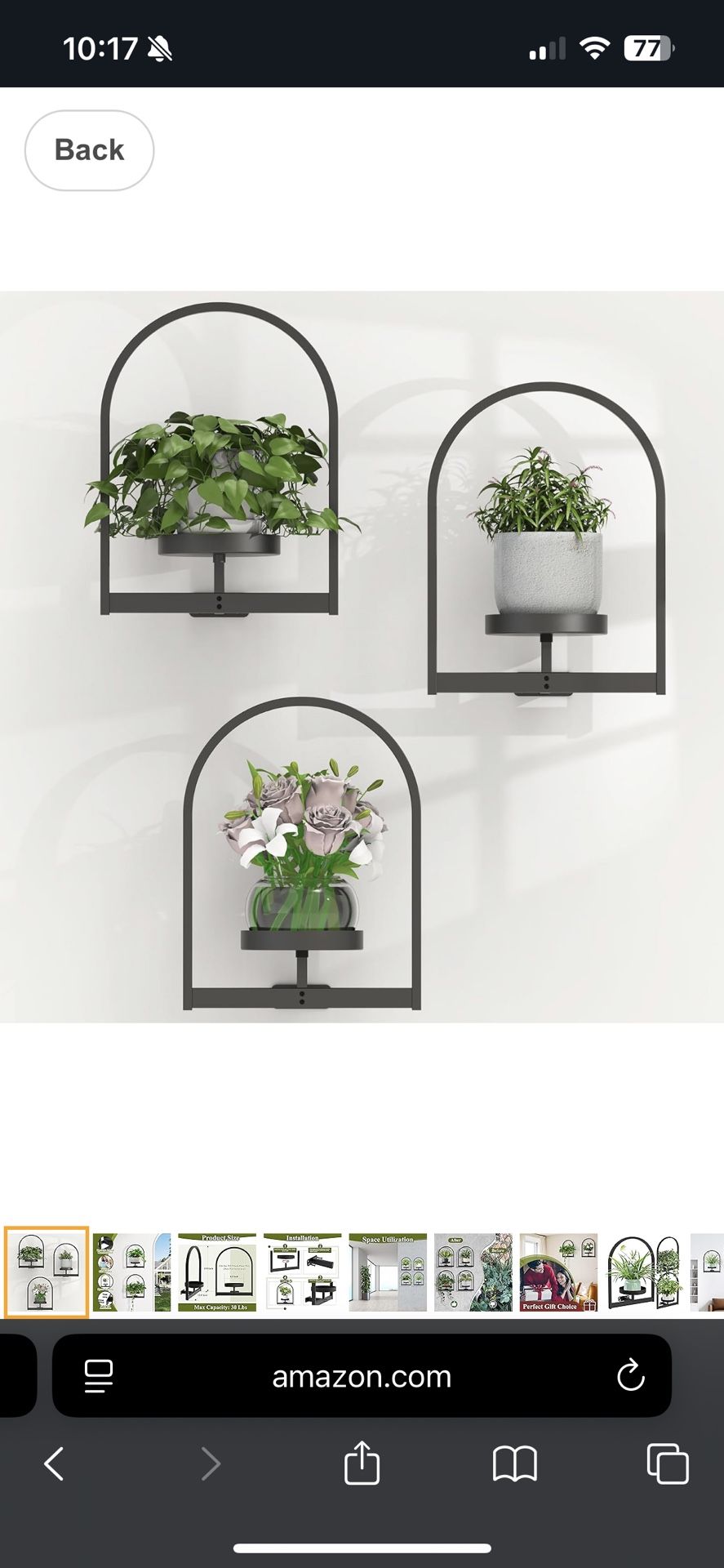 Wall Mounted Plant Holder 3-Pack