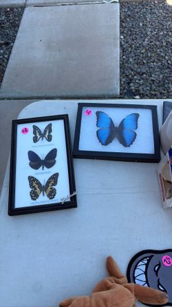 Butterflies $8 For Both *yard Sale Today!*