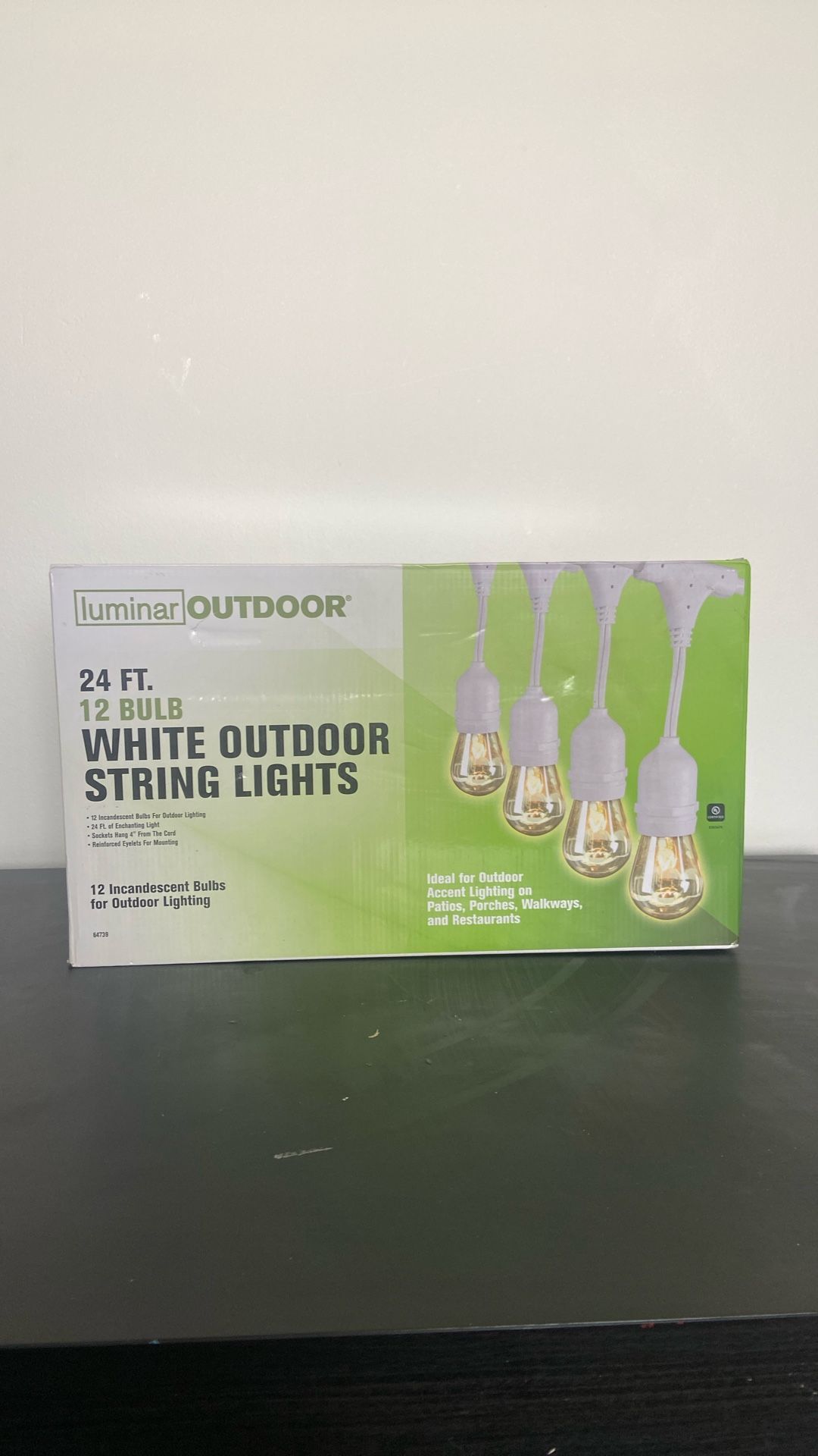 24ft Outdoor String Lights
