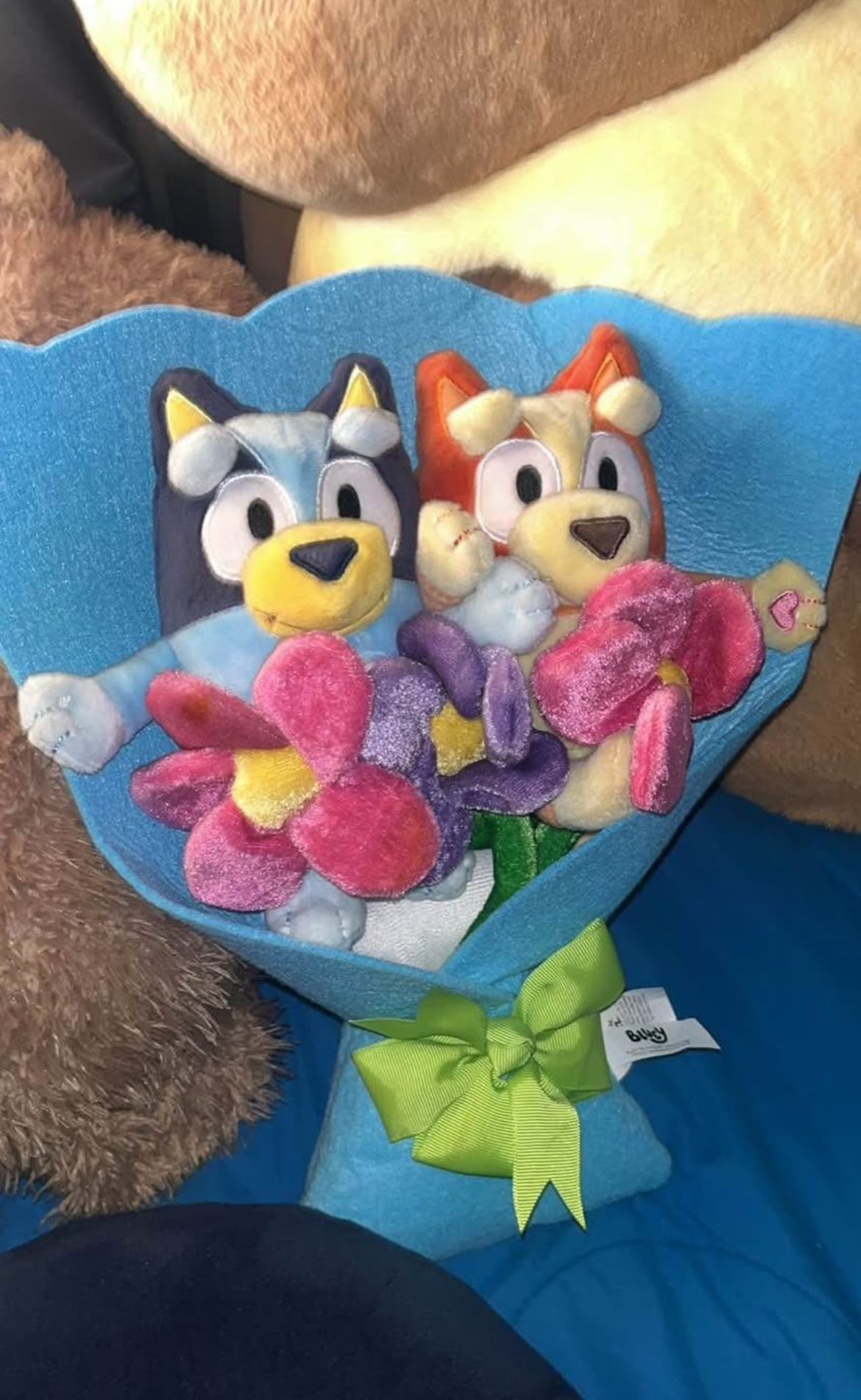 Bluey And Bingo