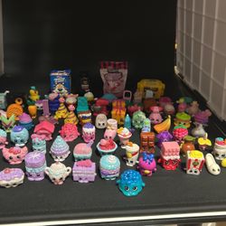 Case Of Shopkins 