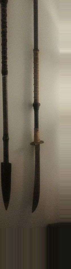 Pole arms spear and naginata