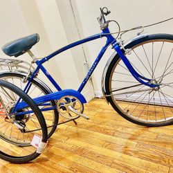 Schwinn bicycle 24 Inch 