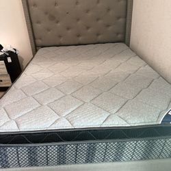 Full Bed And Mattress 