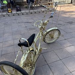 Low rider bike