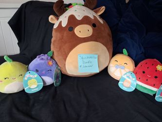 Squishmellow bundle 5! 1 M/L and 4 small scented mystery with tags