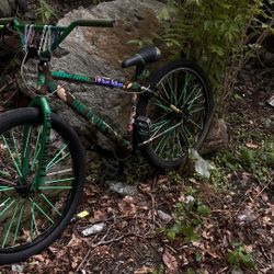 big flyer Se Bike, Trades Only (look At Description)