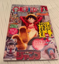 One piece promo card