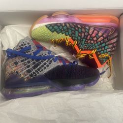 Lebron XVll WTW New!
