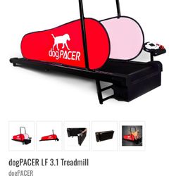 Dog Pacer Treadmill