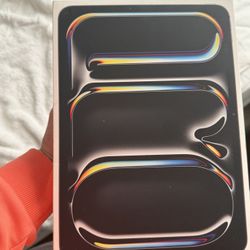 Ipad Pro M4 256 G With Wifi + Cellular