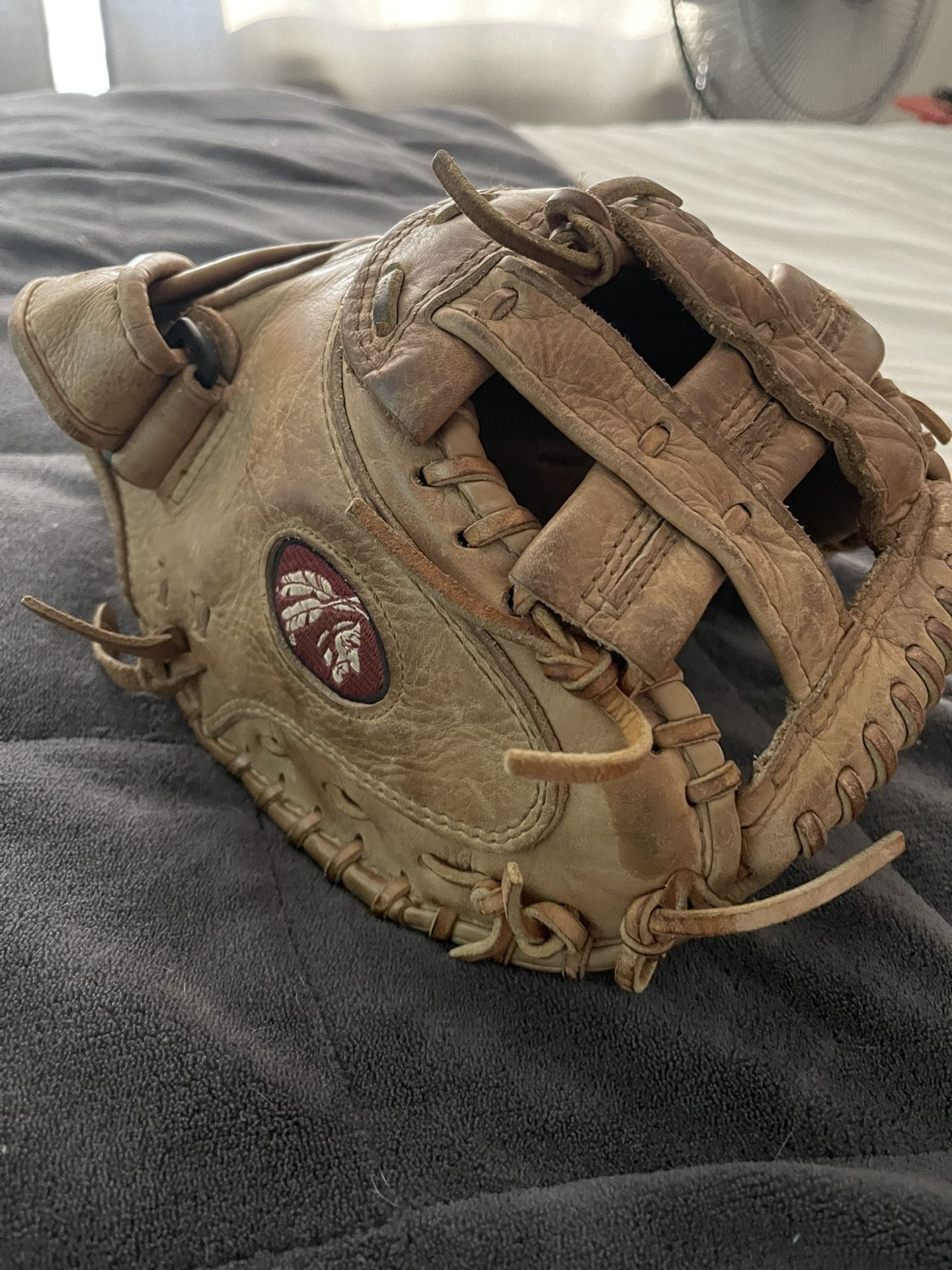 Softball Catcher Mitt