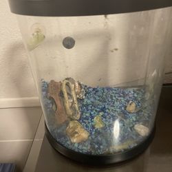 Fish Tank $20 