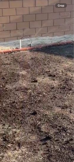 Landscape bricks 🧱 (135 feet)