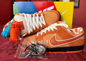 Nike Dunk SB Lobster Orange