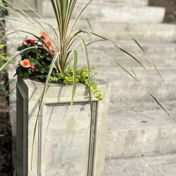 Concrete Pillar Planter