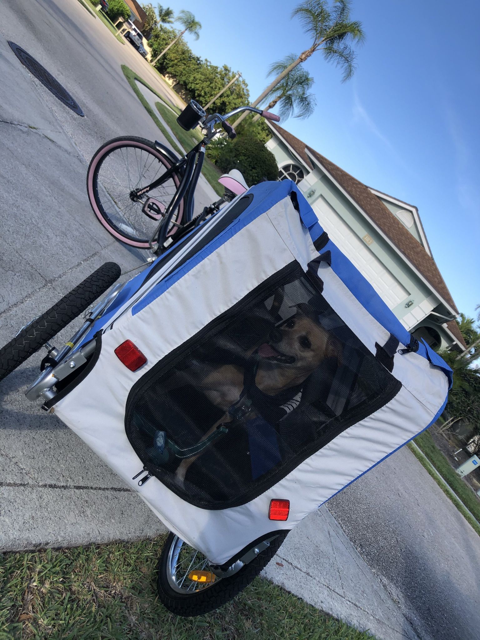 Bike Trailer For Dog