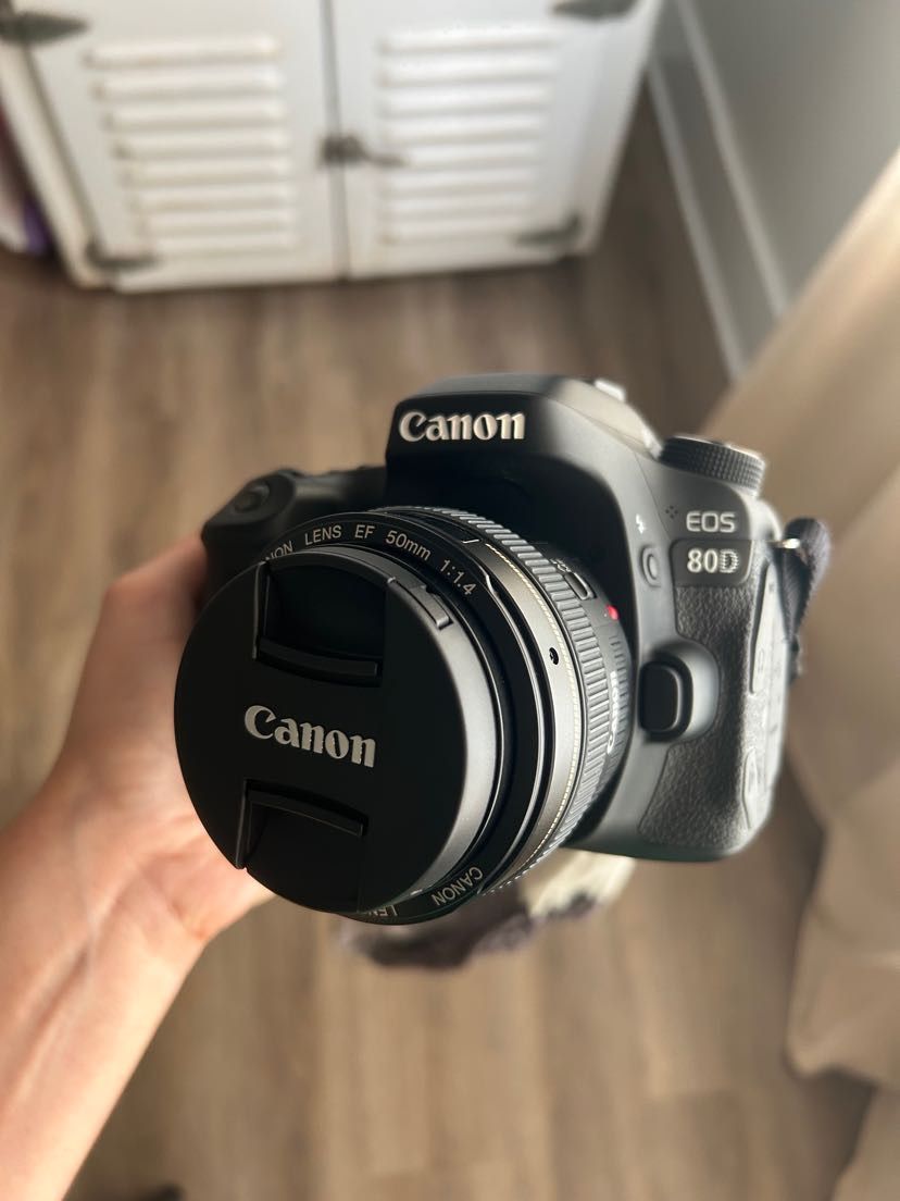 Canon 80D Body With Multiple Lenses