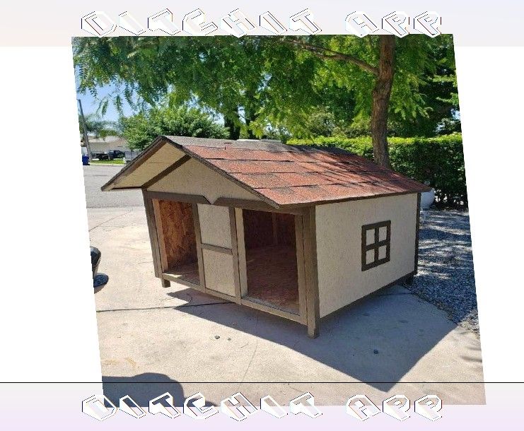 window indicate Make the Ultimate Dog Home - Style and Comfort Merged