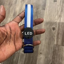 Flashing LED Pet Collar with Different LED Lights 
