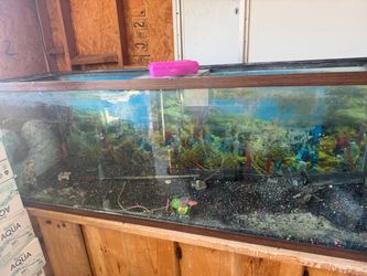 Large Glass Fish Tank Aquarium with Accessories