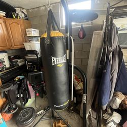 Punching Bag And Speed Bag 