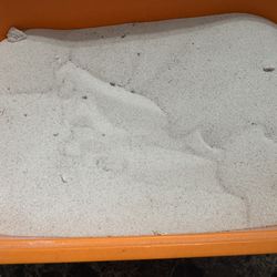 50lbs Reptile sand
