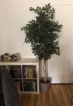 Beautiful Tree (Faux Plant!)