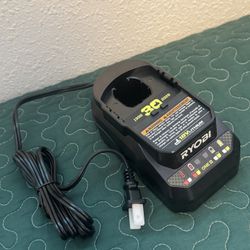 Ryobi  30th Year  charger