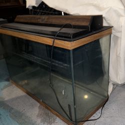 Fish Tank