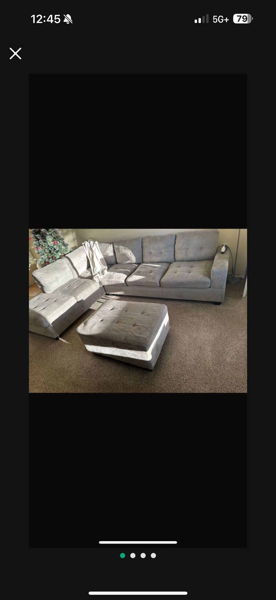 Sectional Couch