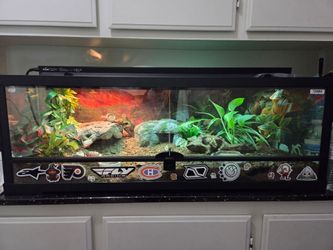 Zoomed tank