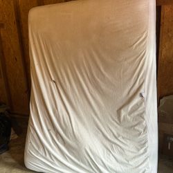 FREE Queen Mattress 