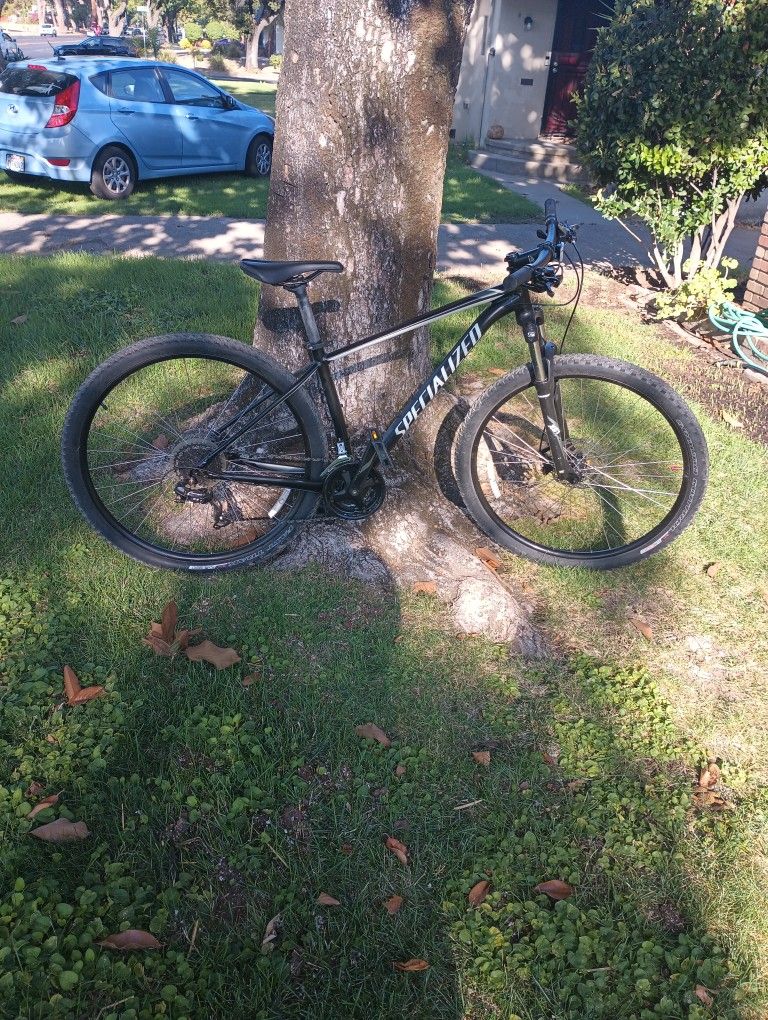 Specialized Rockhopper Disk & 29" Wheel s