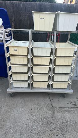 Shelve Storage